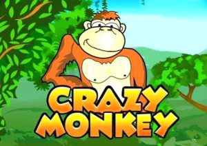 Crazy Monkey Logo